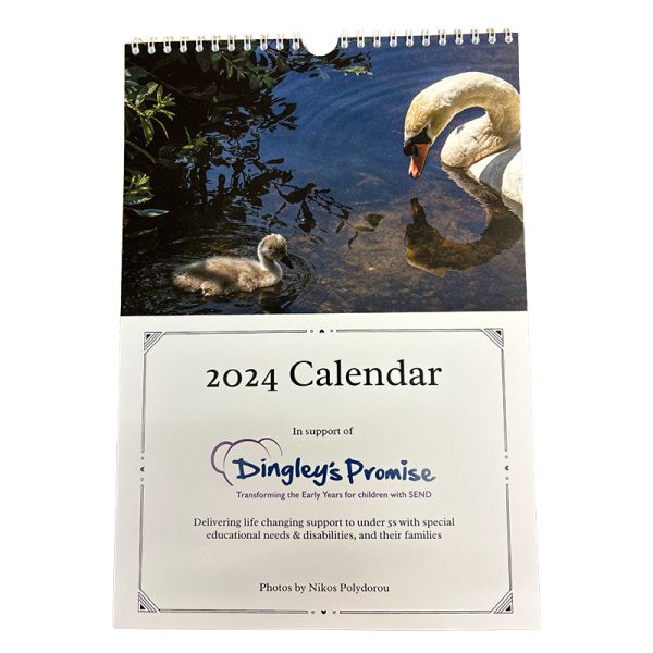 Dingley's Promise Calendar 2024